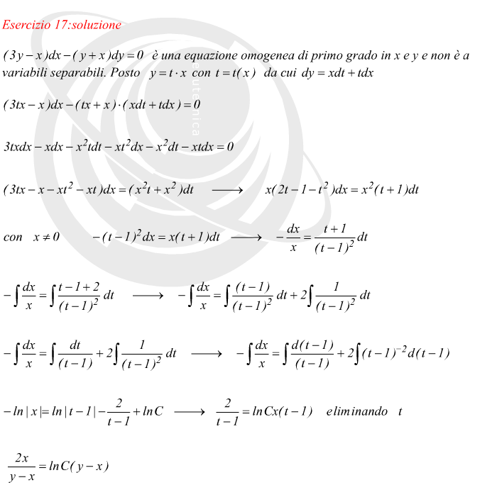 equazione differenziale omogenea di primo grado